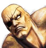 Street Fighter 4 Sagat